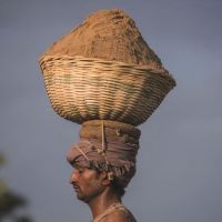 全球沙荒：20年貿(mào)易額增長六倍 中國占亞洲一半，一場全球資源危機(jī)！正在愈演愈烈！