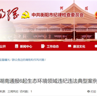 超時、超量、越界采砂！湖南通報6起生態(tài)環(huán)境領(lǐng)域違紀(jì)違法典型案例 2起與砂石有關(guān)！
