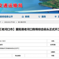 新建4個(gè)1000噸級(jí)泊位！湖北又一綜合碼頭開工