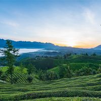 500萬噸/年！湖北儲量約1.12億噸建筑用花崗巖礦擬掛牌出讓